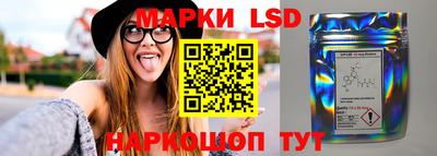 ПСИЛОЦИБИНОВЫЕ ГРИБЫ Донской