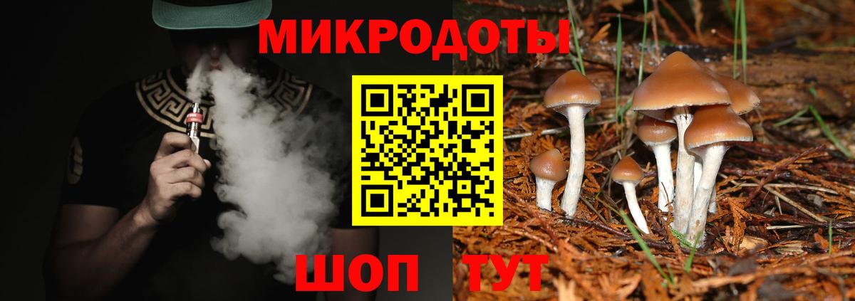 где можно купить наркотик  Вход с VPN  Кунгур  Псилоцибиновые грибы мицелий 