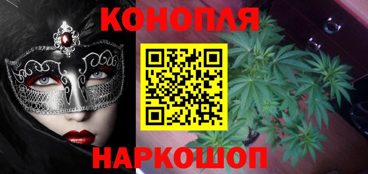 МАРИХУАНА OG Kush  Вход с VPN  Каннабис семена  Кунгур  Шишки марихуана THC 21% 